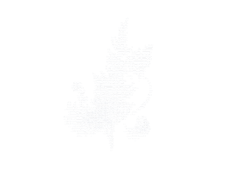 A fern frond, drawn in ASCII.