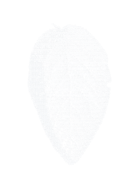 A single leaf, drawn in ASCII.