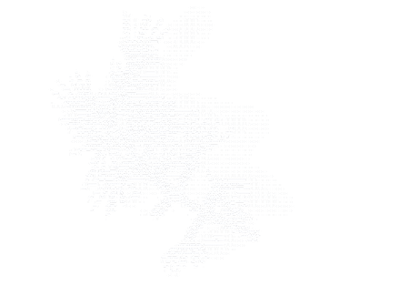 A bare twig, drawn in ASCII.